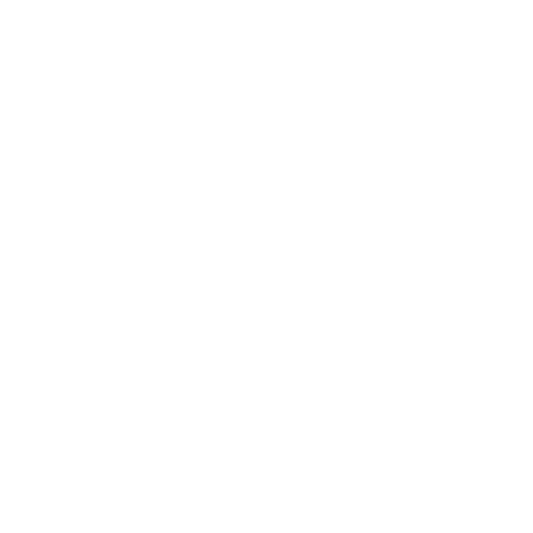 BMOR Luxury logo